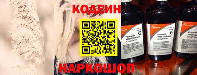 прущие грибы Камышлов