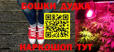 прущие грибы Камышлов
