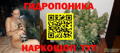прущие грибы Камышлов