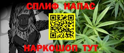 прущие грибы Камышлов