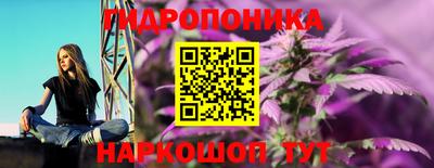 прущие грибы Камышлов