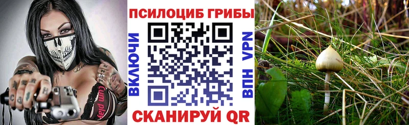 Галлюциногенные грибы прущие грибы  Назарово 