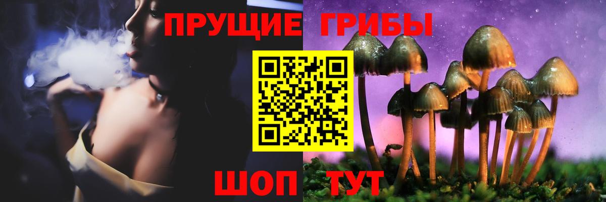 Назарово  цены   Псилоцибиновые грибы Magic Shrooms  Вход с VPN  Псилоцибиновые грибы Psilocybine cubensis 